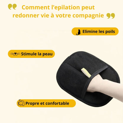 SILKYPET ™ -🎁 1 ARTICLE ACHETÉ = 1 ARTICLE OFFERT 🎁