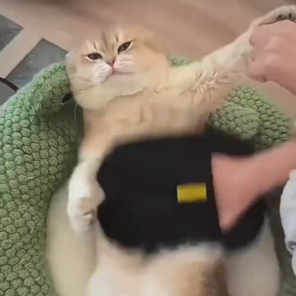 SILKYPET ™ -🎁 1 ARTICLE ACHETÉ = 1 ARTICLE OFFERT 🎁